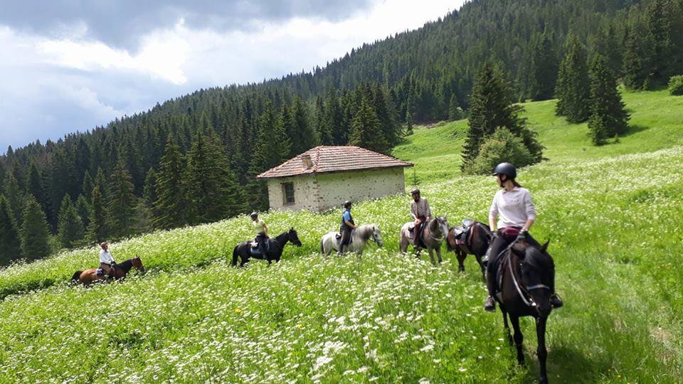 Rhodope Mountain PanoramaTrail 